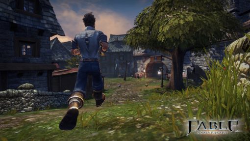 Fable Anniversary - PC Key Code Steam Game Global