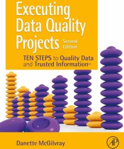 Executing Data Quality Projects: Ten Steps to Quality Data and Trusted Information (TM) 2nd Edition – PDF ebook