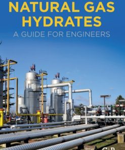 Natural Gas Hydrates: A Guide for Engineers 4th Edition – PDF ebook