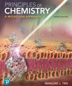 Principles of Chemistry: A Molecular Approach 4th Edition – PDF ebook