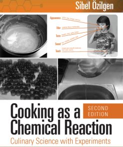 Cooking as a Chemical Reaction: Culinary Science with Experiments 2nd Edition – PDF ebook