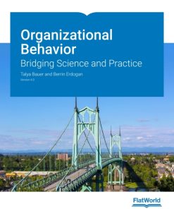 Organizational Behavior: Bridging Science and Practice v4.0 4th Edition – PDF ebook